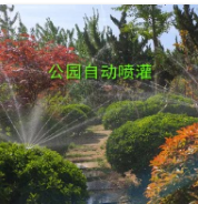 美國雨鳥6504公園案例